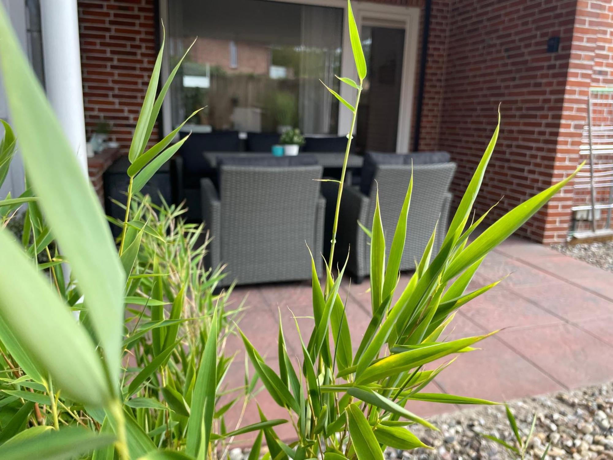 Kleine Sonne Apartment Gromitz Bagian luar foto
